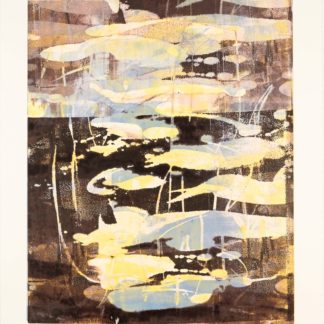 Swamp Series II, Liz Dexheimer, work on paper, monotype
