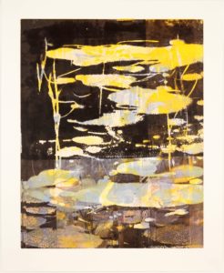 Swamp Series