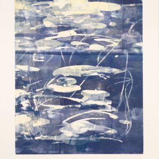 Marsh Spring Moonlight
