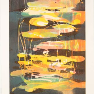 New Swamp Series: Afterglow Orange I