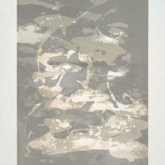 Gray Series: What Lies Beneath II