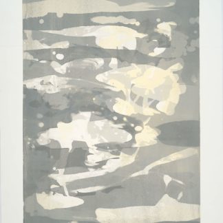 Gray Series: What Lies Beneath I