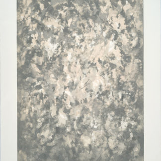 Hibernal Moon Suite V