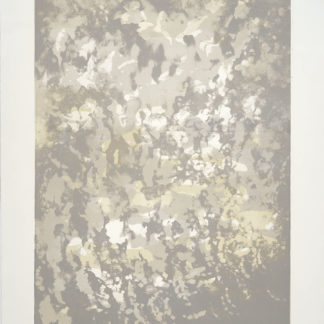 Hibernal Moon Suite III