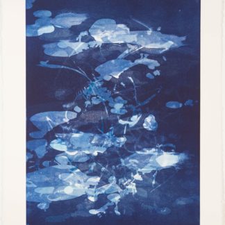 Nocturne Suite II