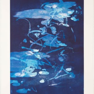 Nocturne Suite VII
