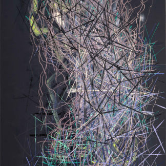 Rhizome 10