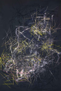 Rhizome 12