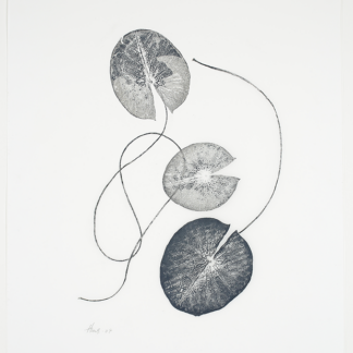 Heather Sandifer, "Fleeting, Waterlily Leaves Cat. 44," mixed media on vellum paper