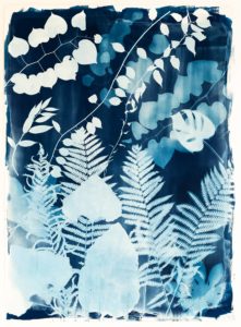 Emily Hamilton Laux, "Summer Field IV", cyanotype on archival hot press paper