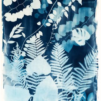 Emily Hamilton Laux, "Summer Field IV", cyanotype on archival hot press paper