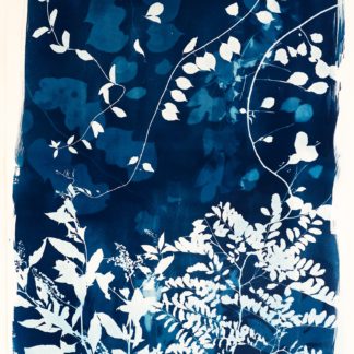 Summer Field II