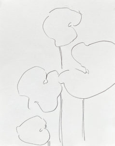 Plant 67 - C