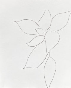 Plant 59 - C