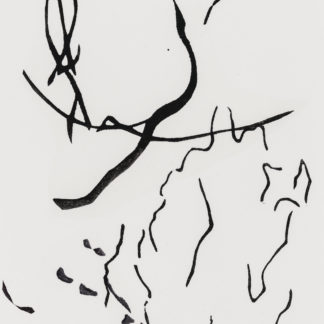 Laura Fayer, "Cadence 303," acrylic, Japanese paper on paper