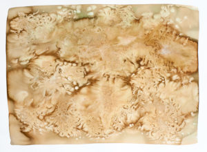 Untitled 30, Topos