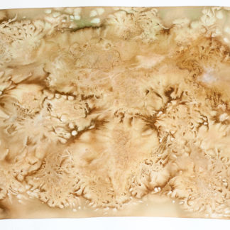 Untitled 30, Topos