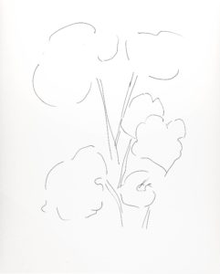 Plant 113