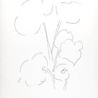 Plant 113