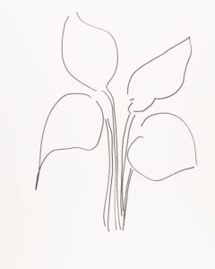 Plant 57