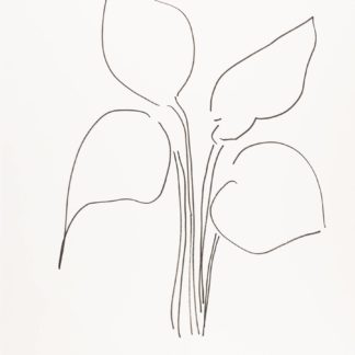 Plant 57