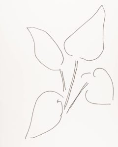 Plant 82