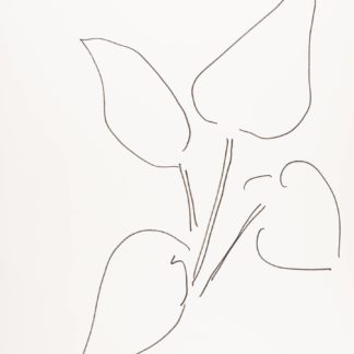 Plant 82