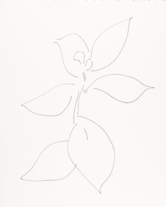 Plant 87