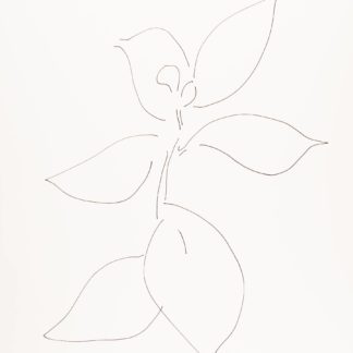 Plant 87