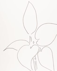 Plant 25