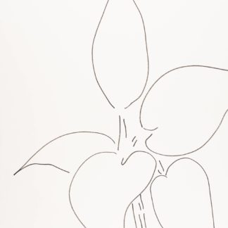 Plant 25
