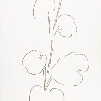 Plant 92
