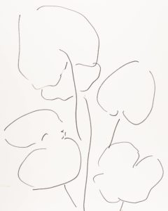 Plant 5