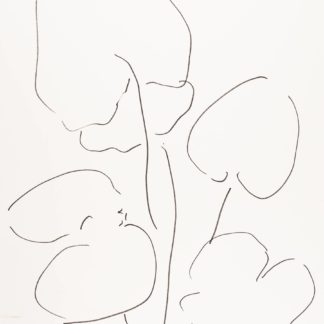 Plant 5