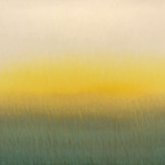(P69) Morning