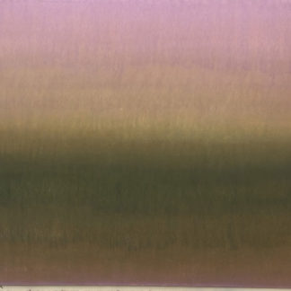 (P66) Summer Inland