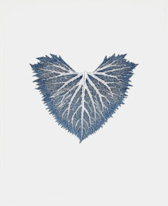 Vector (Ligularia Leaf) Cat. 133