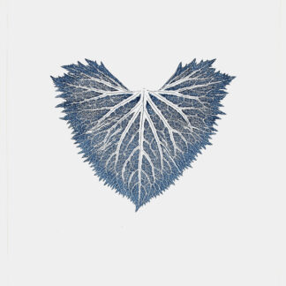 Vector (Ligularia Leaf) Cat. 133