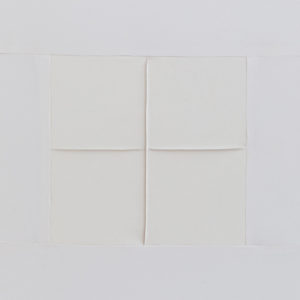White Grids