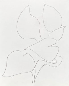 Plant 2