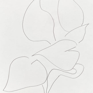 Plant 2