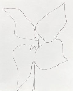 Plant 63