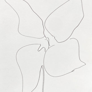 Plant 63