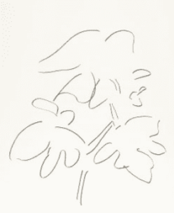 Plant 46