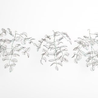 Branches
