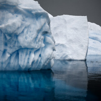 Bergy Bits in Errera Channel, Errera Channel, Antarctic Peninsula, Dec. 2007