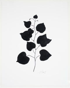 Heather Sandifer, "Black Branch Series IV," mixed media, acrylic, marker on vellum paper