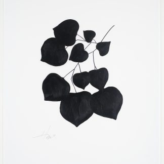 Heather Sandifer, "Black Branch Series I," acrylic, paint, marker on vellum paper
