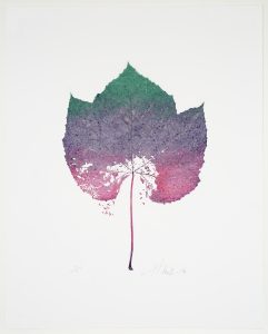 Heather Sandifer, "Bacchus Series 4, Cat. 126," mixed media on vellum paper
