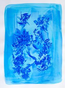 Bastienne Schmidt, "Blue Flower Typology 10," polymer paint on paper